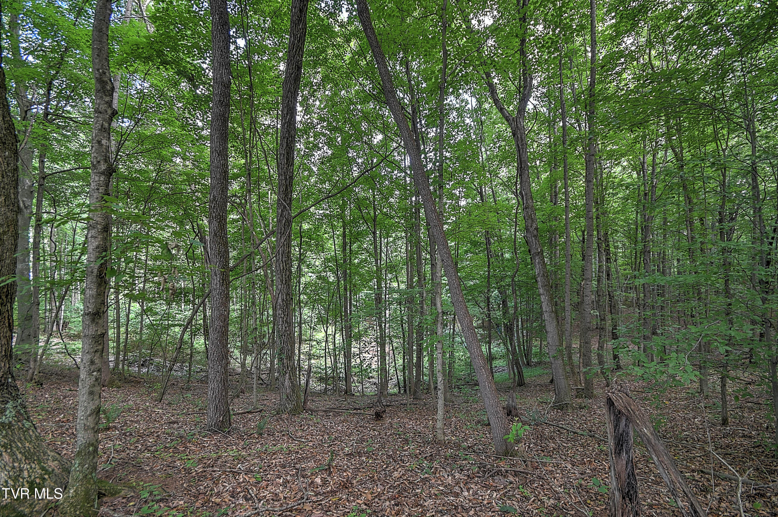 2 Payne Ridge Road Church Hill, TN 37642 - Photo 8 of 17 Payne JB-3