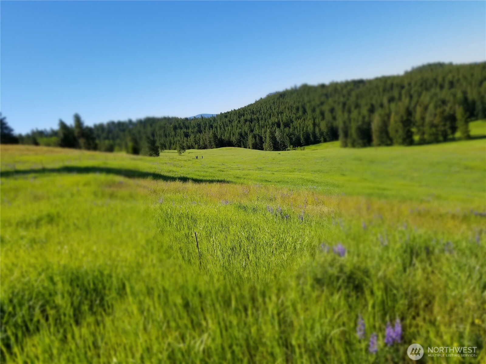 49 Old Ranch House Road Republic, WA 99166 - Photo 12 of 13 a view of a green field with clear sky