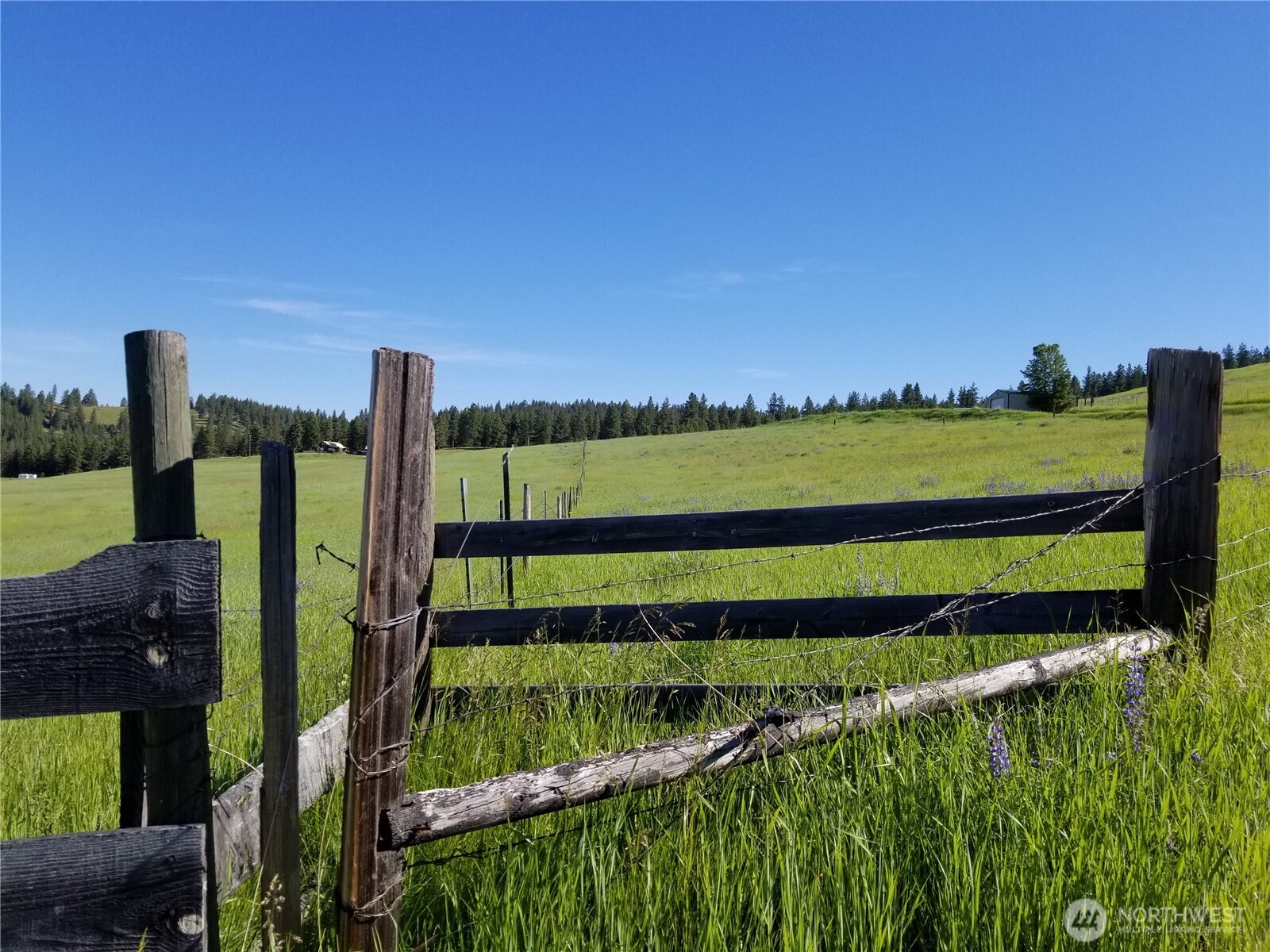49 Old Ranch House Road Republic, WA 99166 - Photo 5 of 13 a view of a garden with wooden fence