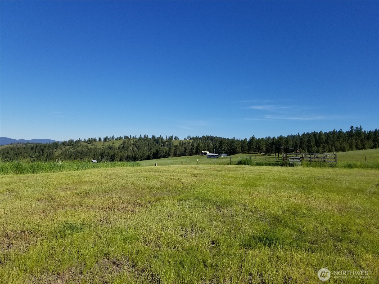 49 Old Ranch House Road Republic, WA 99166 - Photo 8 of 13 a view of an outdoor space and a yard