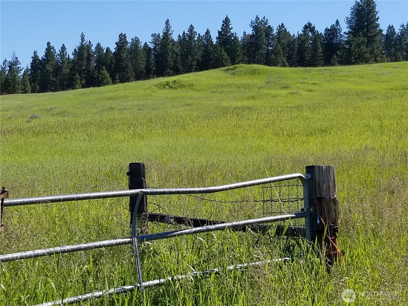 49 Old Ranch House Road Republic, WA 99166 - Photo 9 of 13 a view of outdoor space and yard