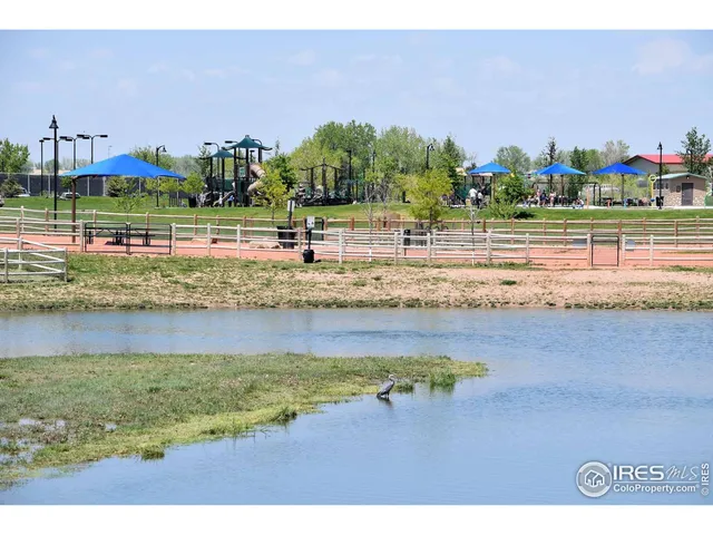 a view of a back yard