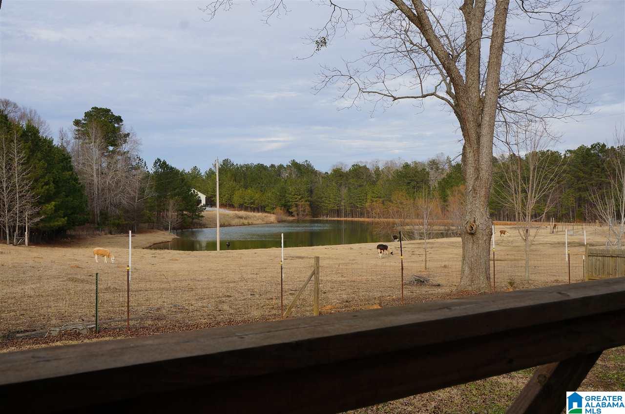 89 Cir M Rnch Drive Sylacauga, AL 35151 - Photo 15 of 50