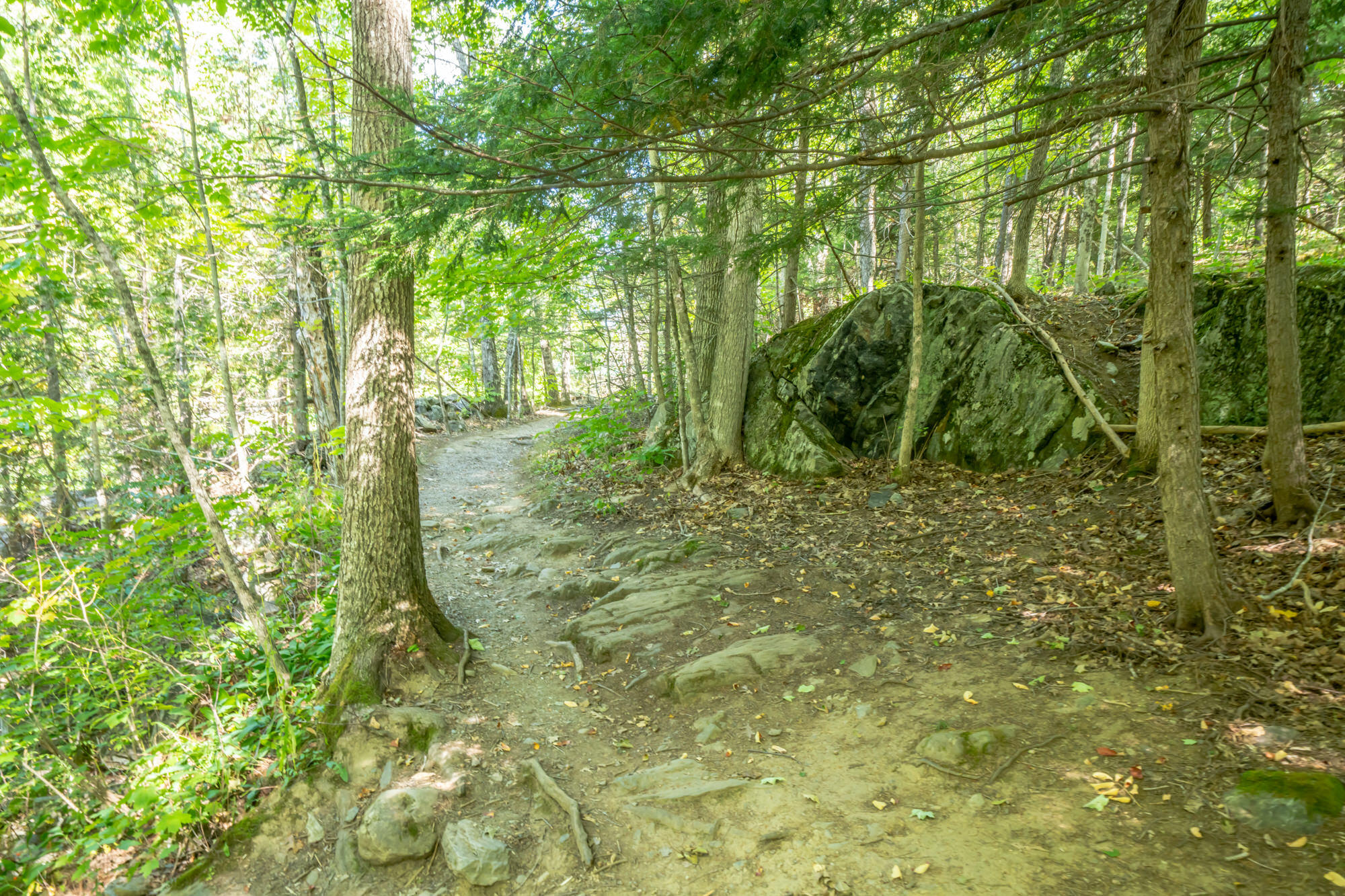 3 Garden Road Monroe, ME 04951 - Photo 46 of 67 1368