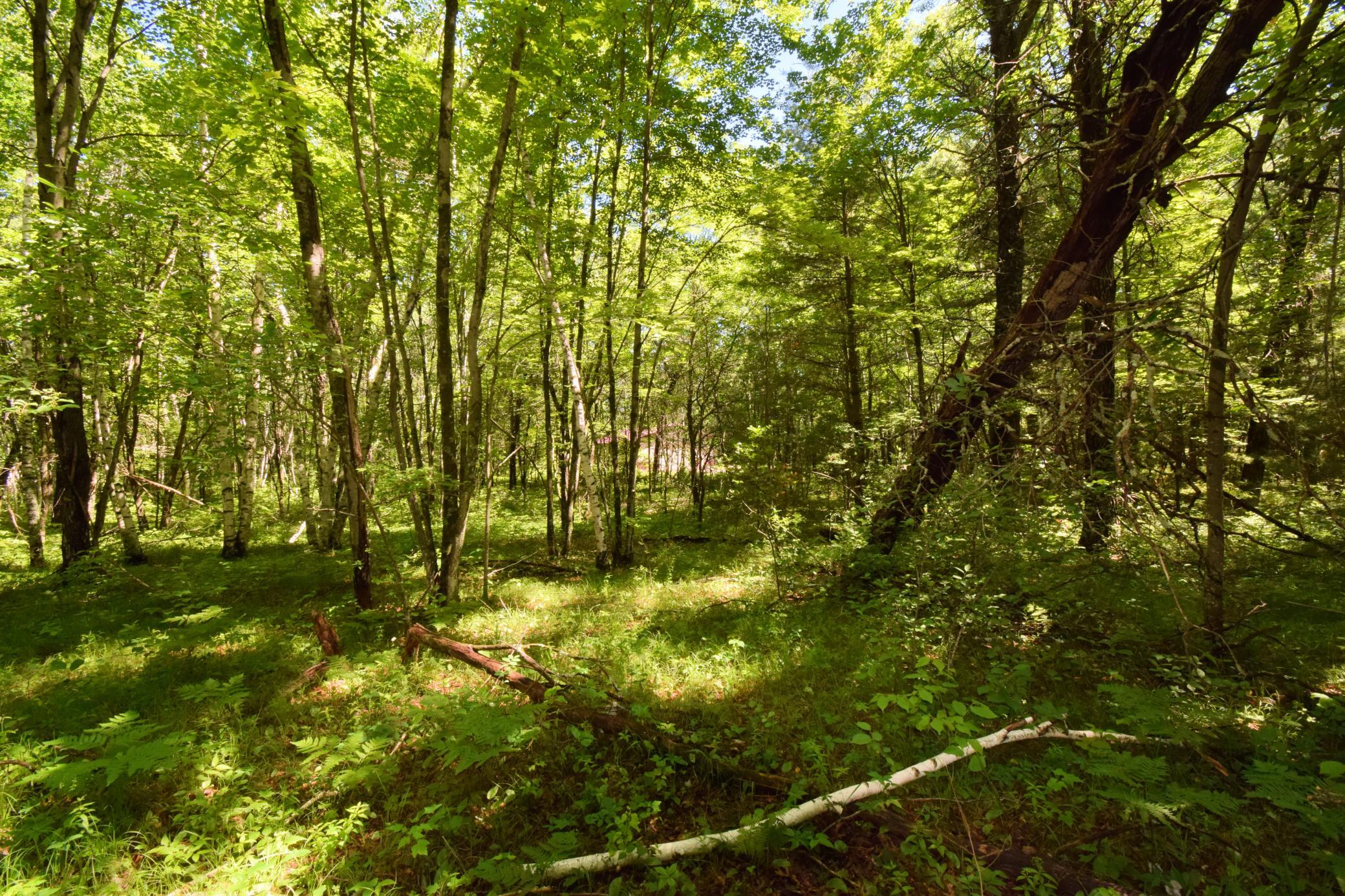 25227 Kruger Road Webster, WI 54893 - Photo 5 of 9