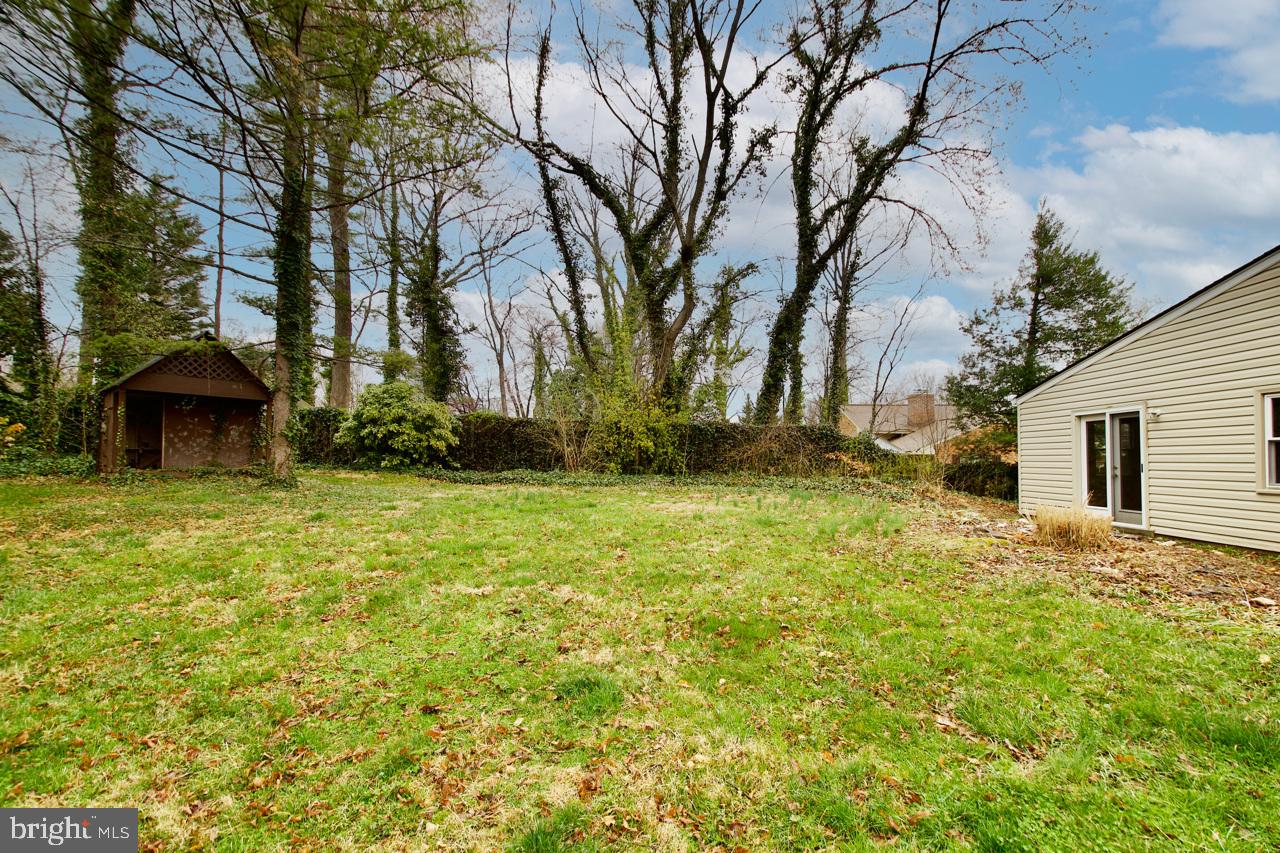 5509 Glenallen Street Springfield, VA 22151 - Photo 32 of 36 a view of a house with backyard and trees
