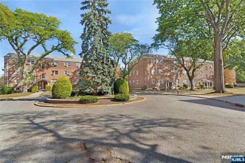 a view of road with large trees