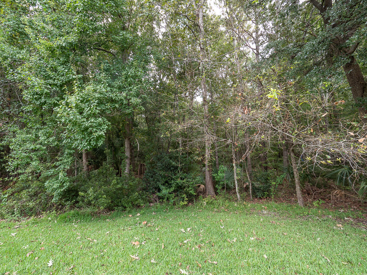 3232 Queensgate Way Mount Pleasant, SC 29466 - Photo 21 of 26 3232 Queensgate-9176989