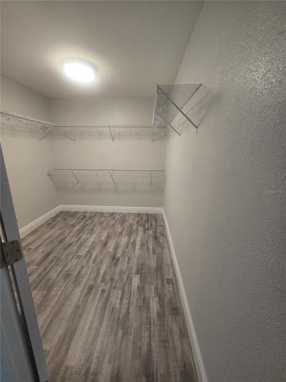 26838 Deacon Loop Wesley Chapel, FL 33544 - Photo 41 of 53