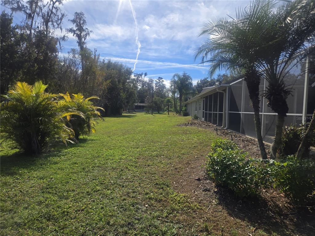 26838 Deacon Loop Wesley Chapel, FL 33544 - Photo 50 of 53