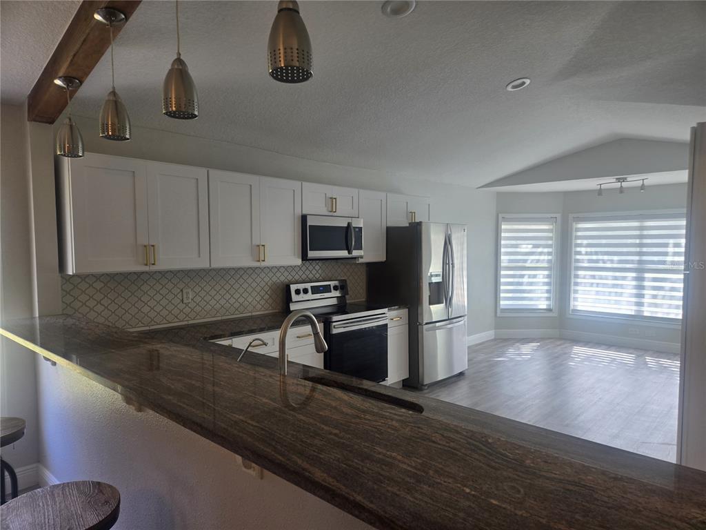 26838 Deacon Loop Wesley Chapel, FL 33544 - Photo 5 of 53