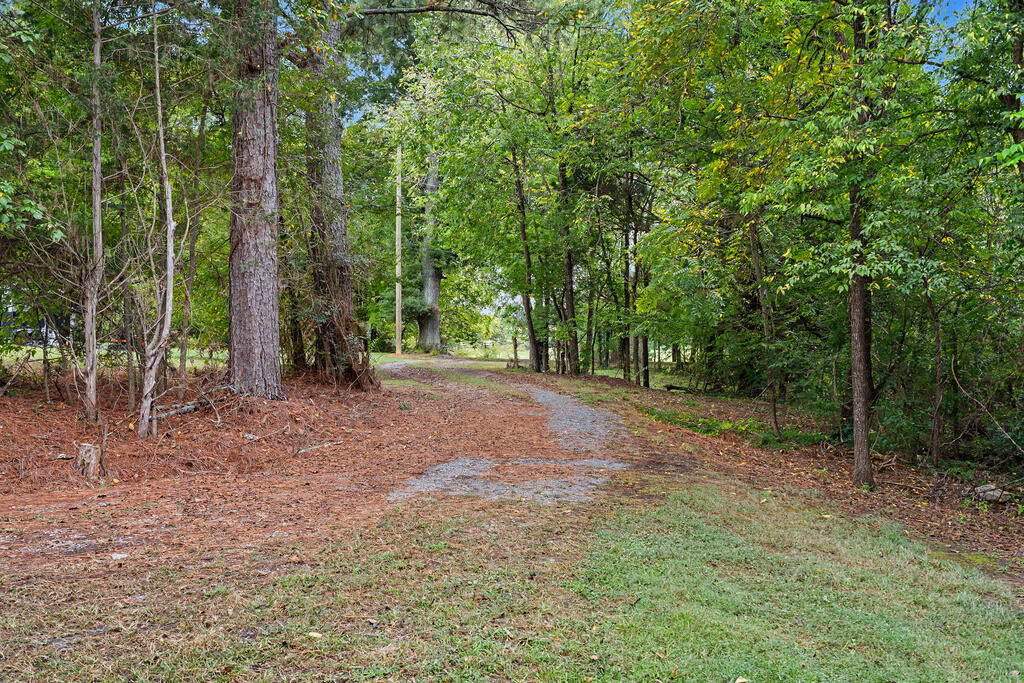 0 Carl Wood Road Rocky Face, GA 30740 - Photo 12 of 58 Gallery Image 12