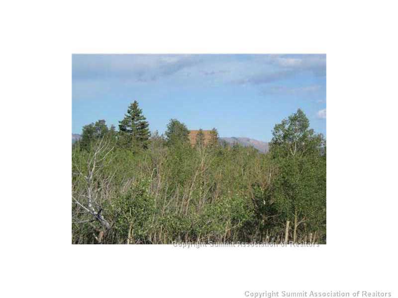 2992 Buffalo Ridge Road Como, CO 80432 - Photo 22 of 25 Gallery Image 22