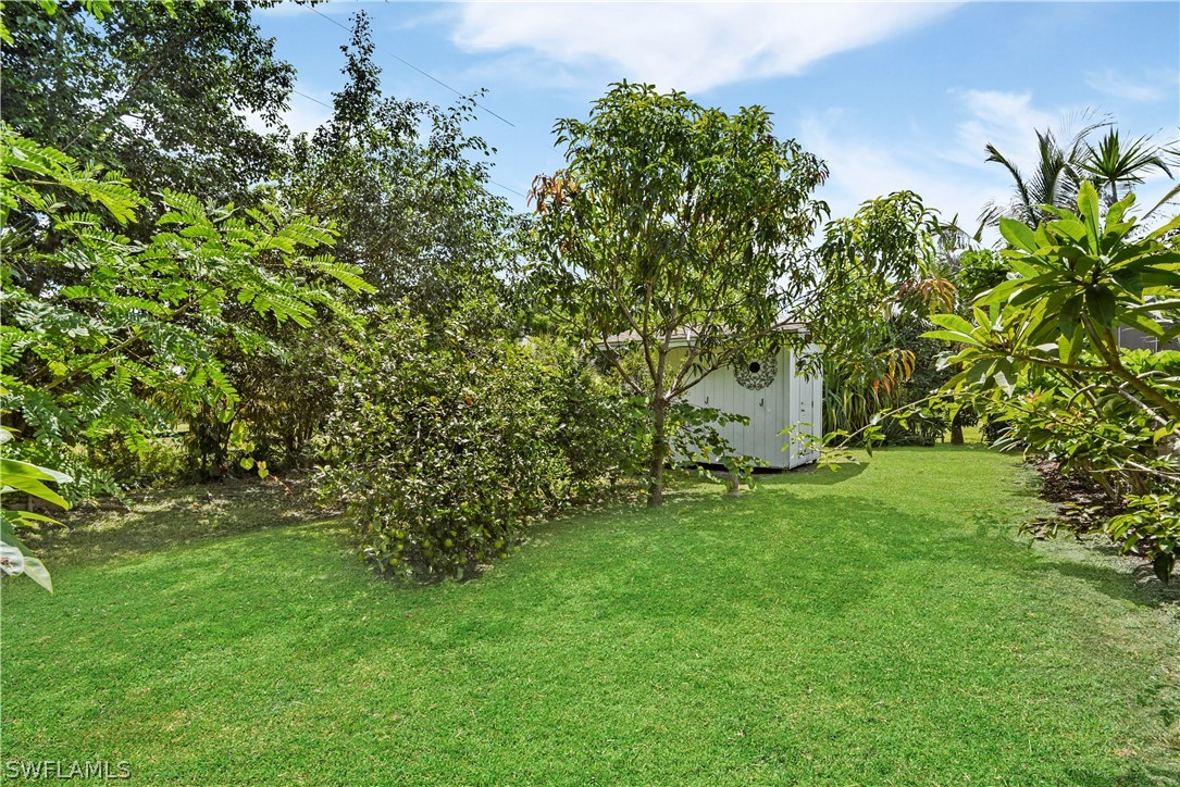 12478 Dolphin Road Bokeelia, FL 33922 - Photo 25 of 25 a backyard of a house with lots of green space