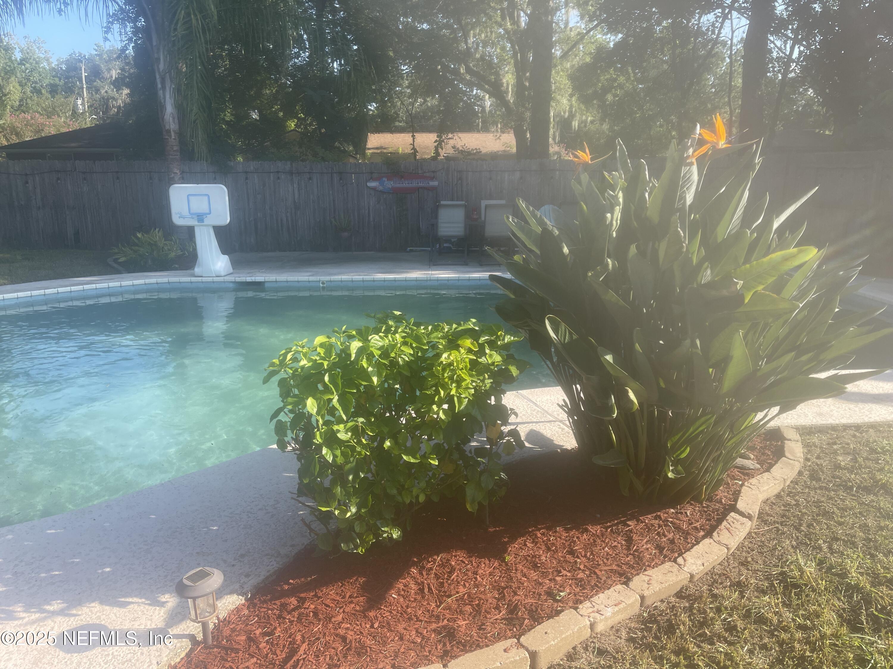 5203 Clarendon Road Jacksonville, FL 32205 - Photo 6 of 12 a view of a yard