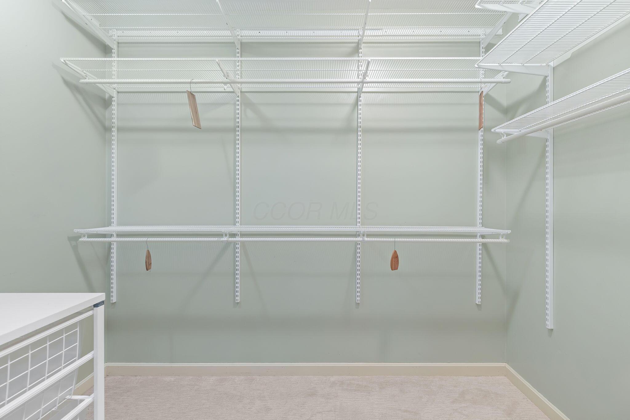4400 Shull Road New Albany, OH 43054 - Photo 14 of 109 Primary Closet