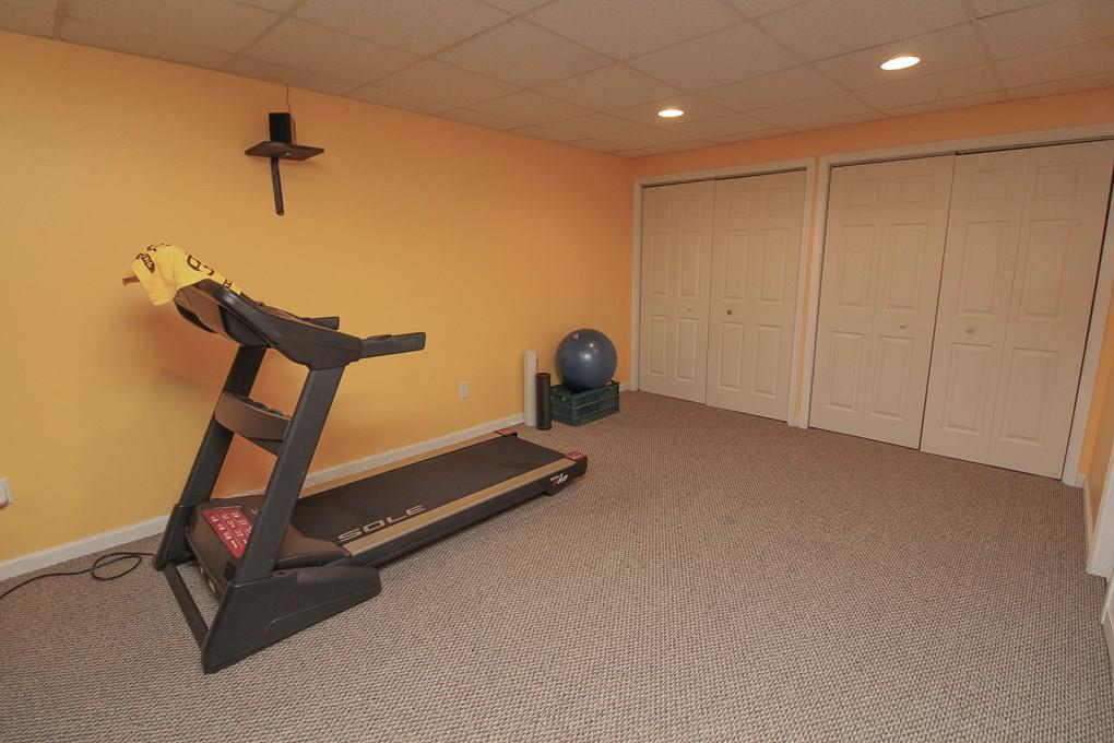 1019 Rural Ridge Drive Cheswick, PA 15024 - Photo 20 of 25 Exercise area in finished basement - with additional storage