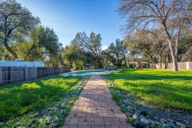 a view of park with plants