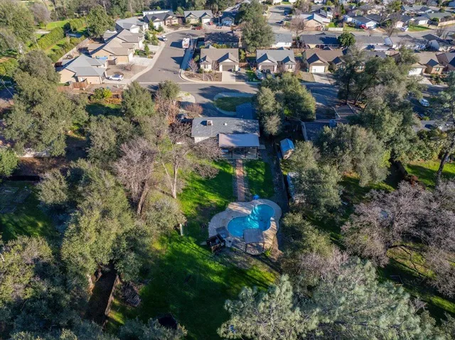 a view of a city with lush green forest