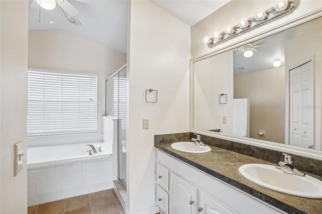 2596 Alclobe Circle Ocoee, FL 34761 - Photo 37 of 70 a bathroom with a granite countertop sink mirror and a bathtub