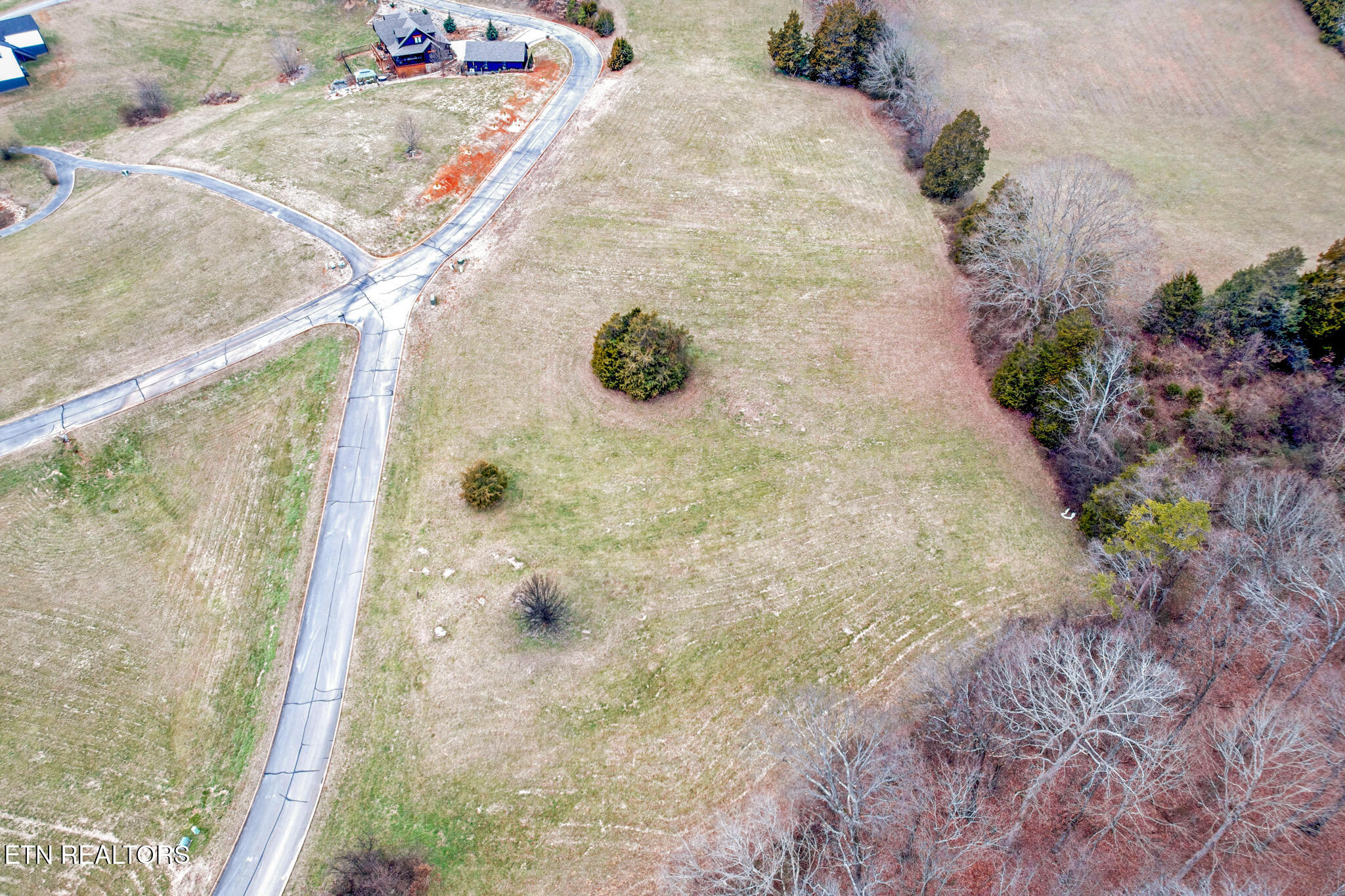 Lot 65 Cow Poke Lane Rutledge, TN 37861 - Photo 4 of 11 Shiloh Springs-3