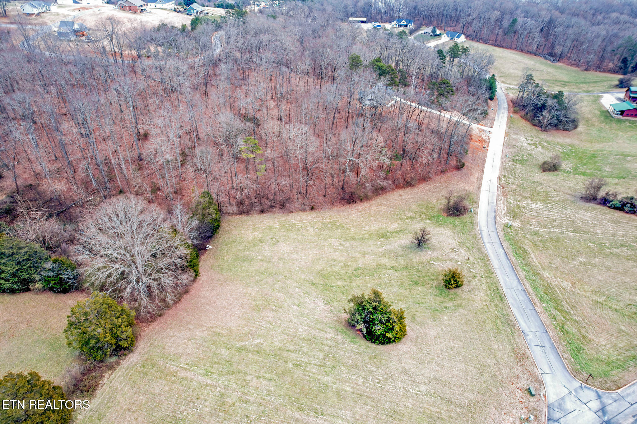 Lot 65 Cow Poke Lane Rutledge, TN 37861 - Photo 5 of 11 Shiloh Springs-4