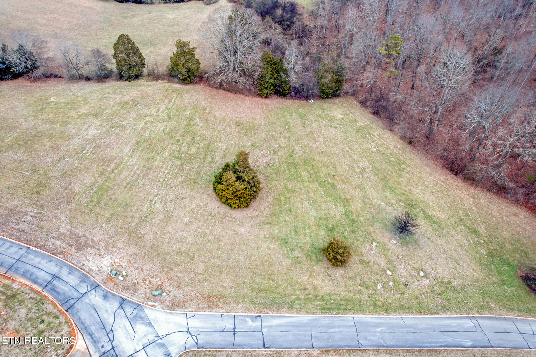 Lot 65 Cow Poke Lane Rutledge, TN 37861 - Photo 6 of 11 Shiloh Springs-5