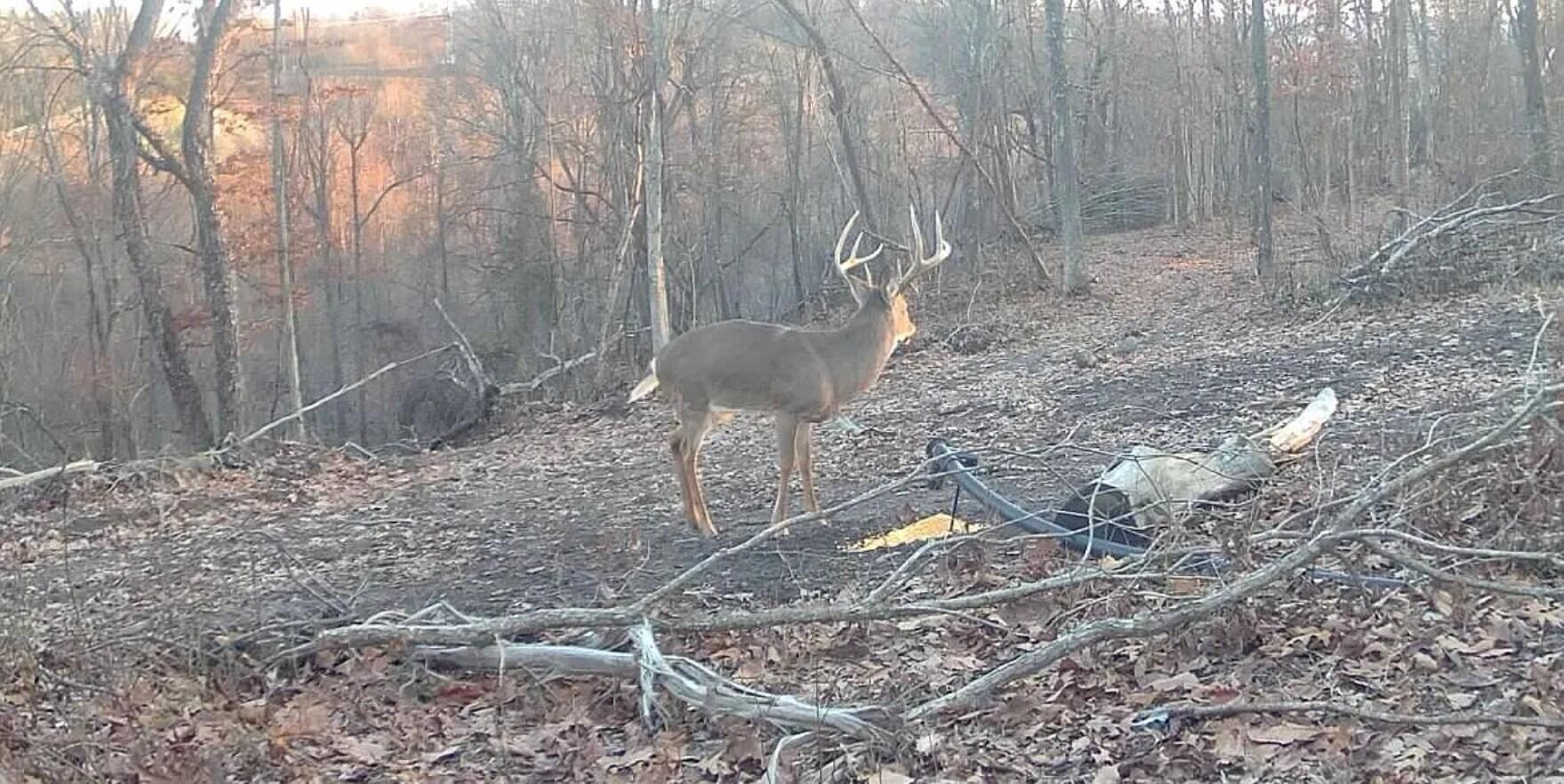 0 Hinkley Hollow Road Portsmouth, OH 45662 - Photo 24 of 48 Copy of 24