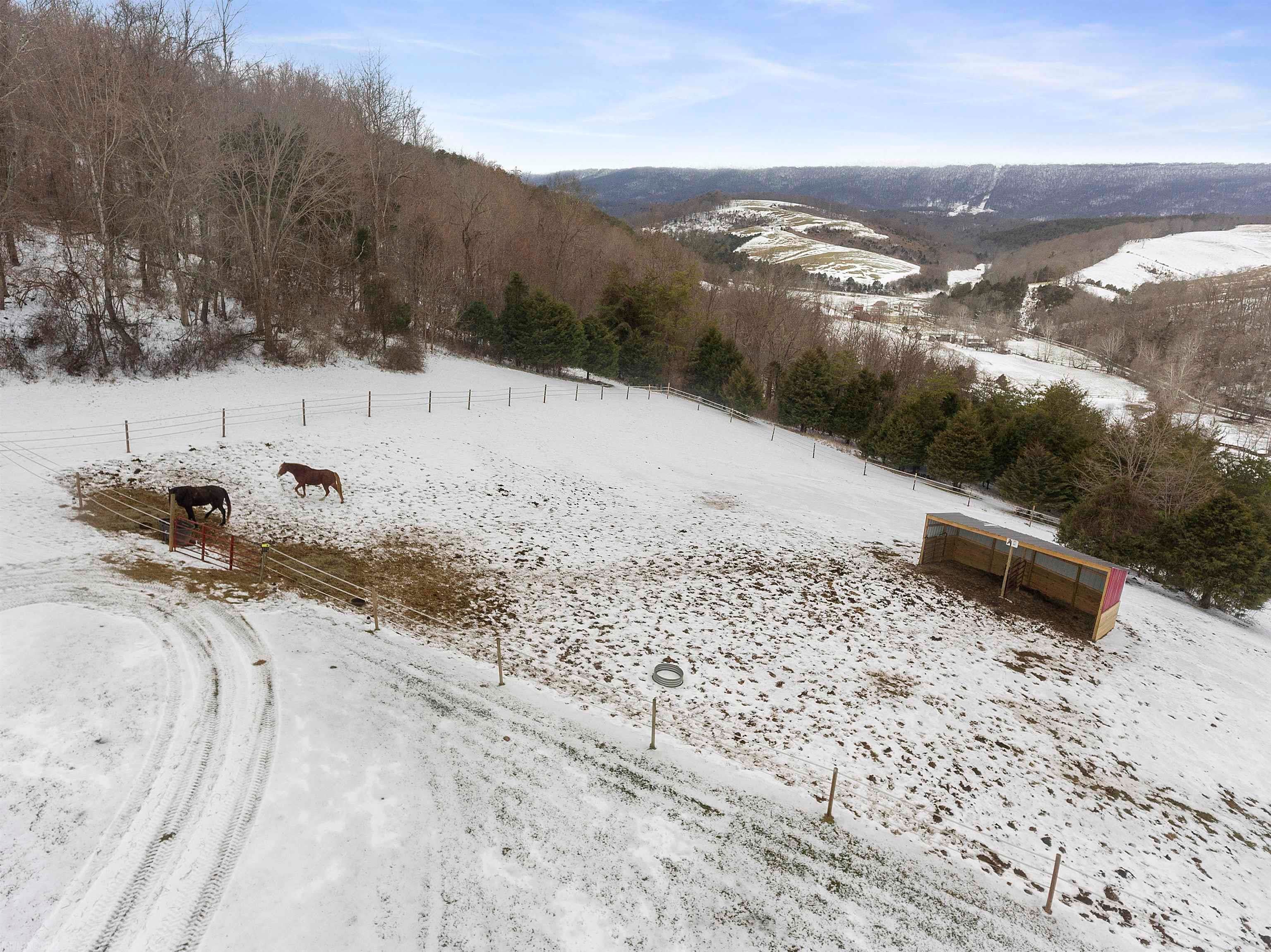 1760 Spring Valley Road Staffordsville, VA 24167 - Photo 29 of 87 Gallery Image 29