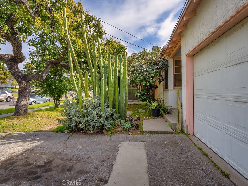 441 Dartmouth Road Burbank, CA 91504 - Photo 34 of 46 a view of a garden with pathway