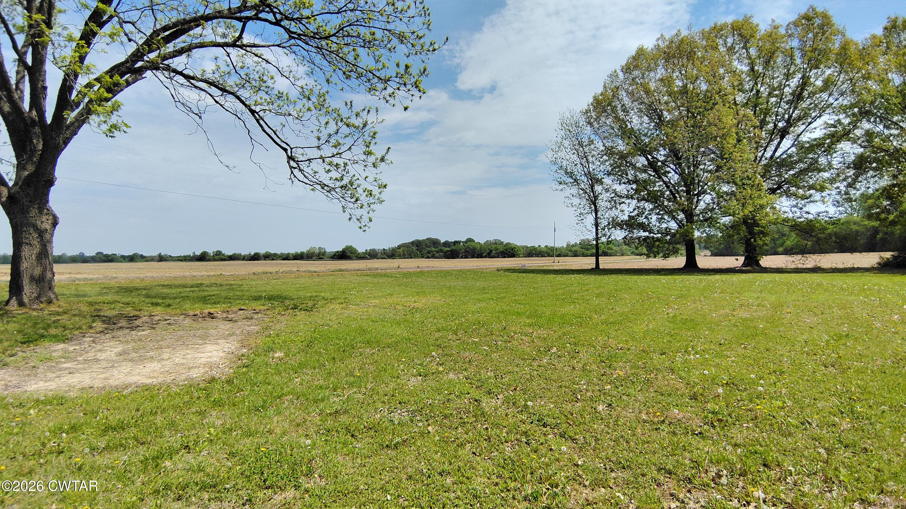 2654 Butler Road Newbern, TN 38059 - Photo 4 of 26 Butler