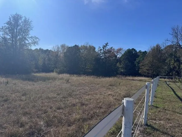 a view of a dry yard with wooden fence