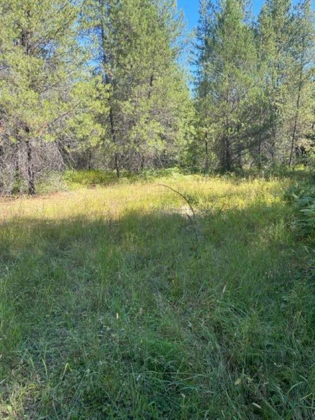 Tbd Lot 8 North Tbd Road Ione, WA 99139 - Photo 20 of 22 Gallery Image 20