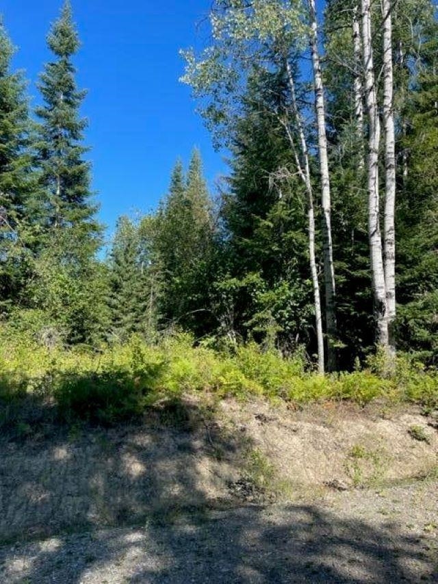 Tbd Lot 8 North Tbd Road Ione, WA 99139 - Photo 3 of 22 Gallery Image 3