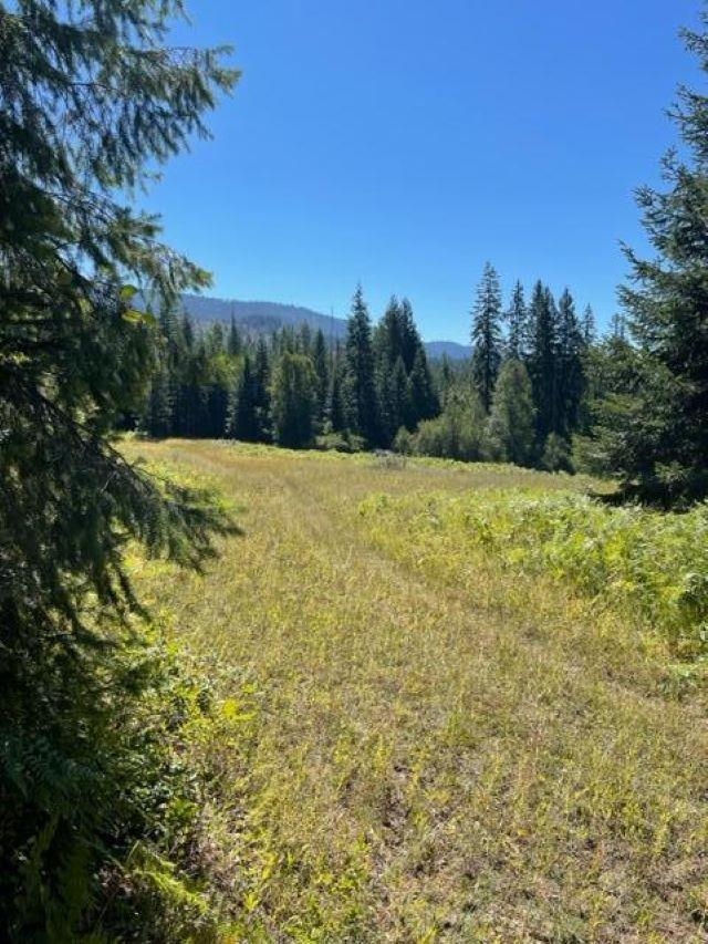Tbd Lot 8 North Tbd Road Ione, WA 99139 - Photo 5 of 22 Gallery Image 5