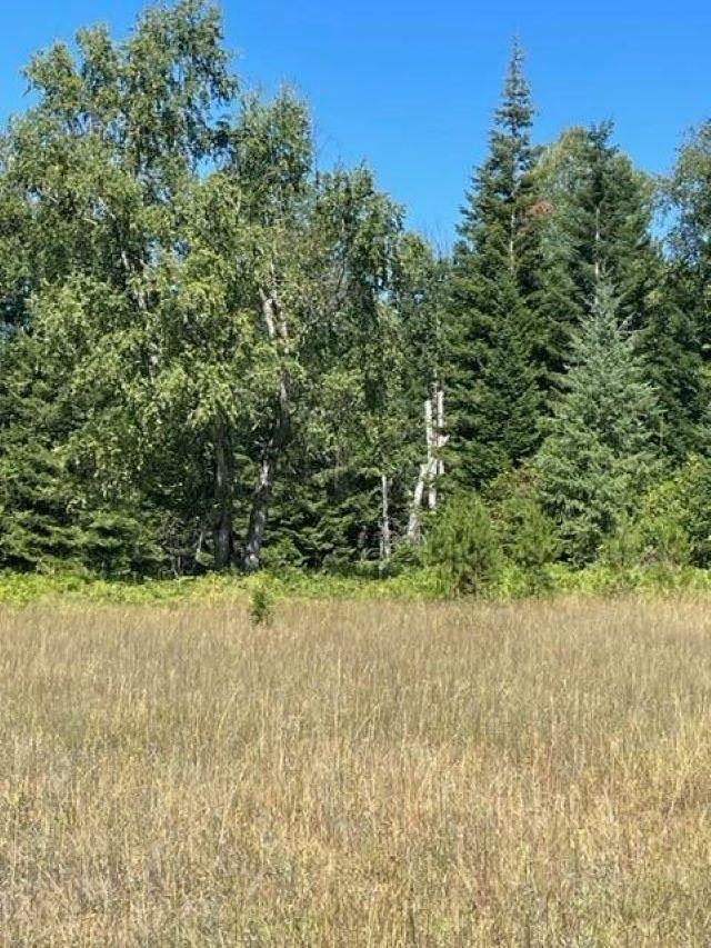 Tbd Lot 8 North Tbd Road Ione, WA 99139 - Photo 10 of 22 Gallery Image 10