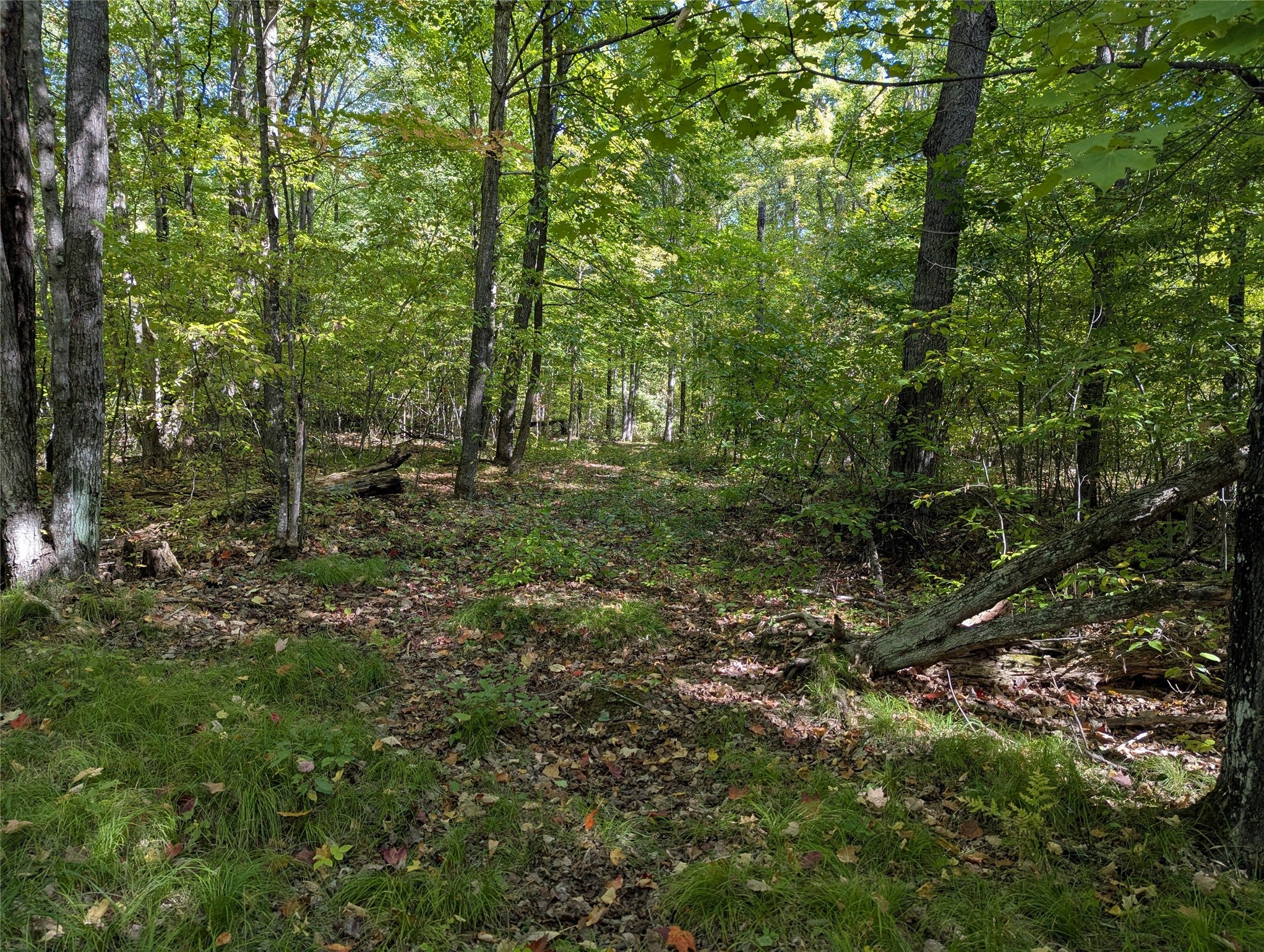 Lot 17 Rabbit Run Winter, WI 54896 - Photo 1 of 7 Gallery Image 1