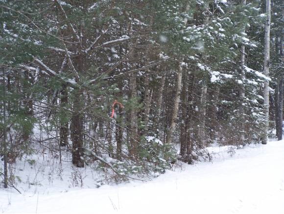 509 South Albany Road Albany, VT 05875 - Photo 1 of 1