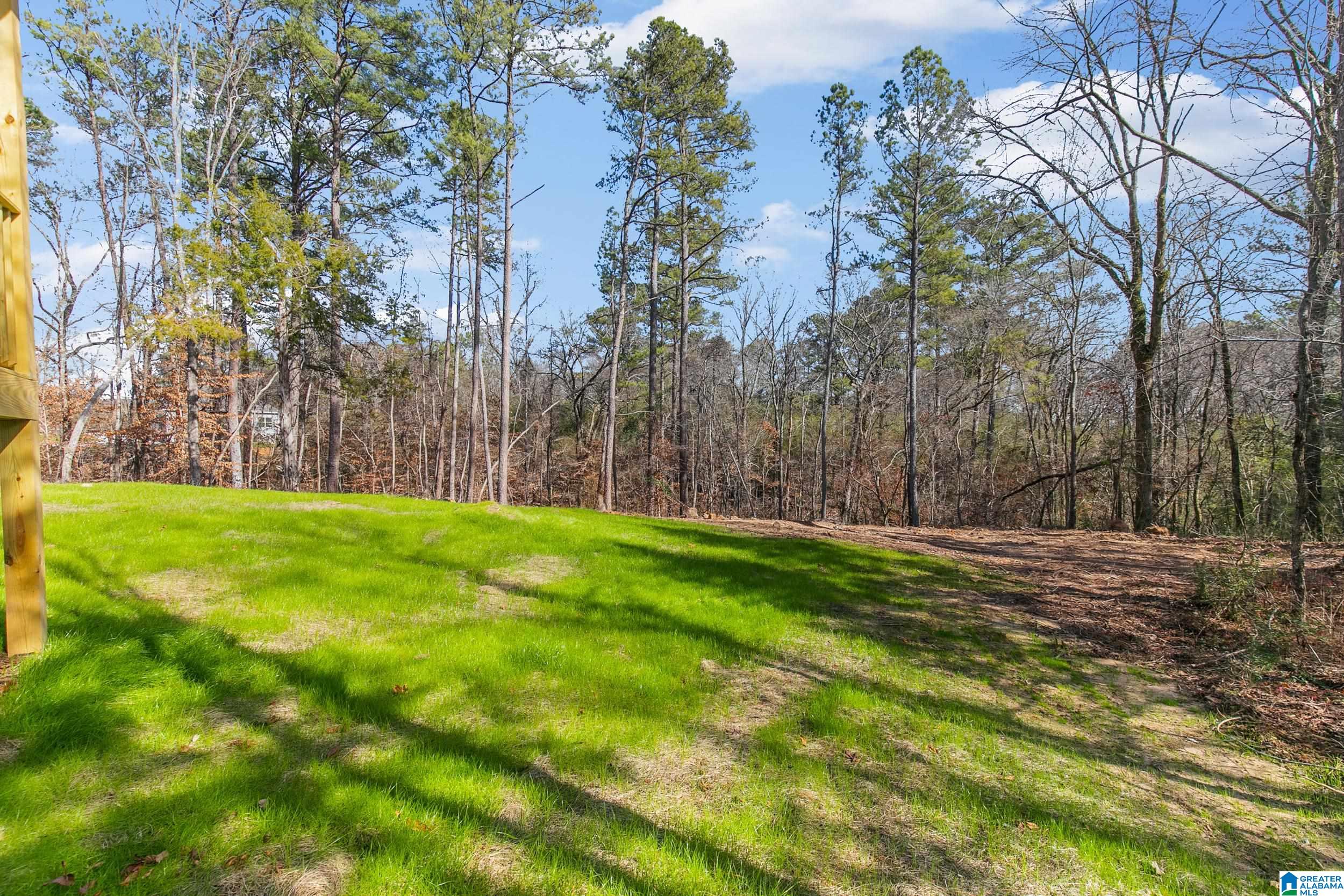 2270 Clevet Springs Road Hayden, AL 35079 - Photo 24 of 27 Gallery Image 24