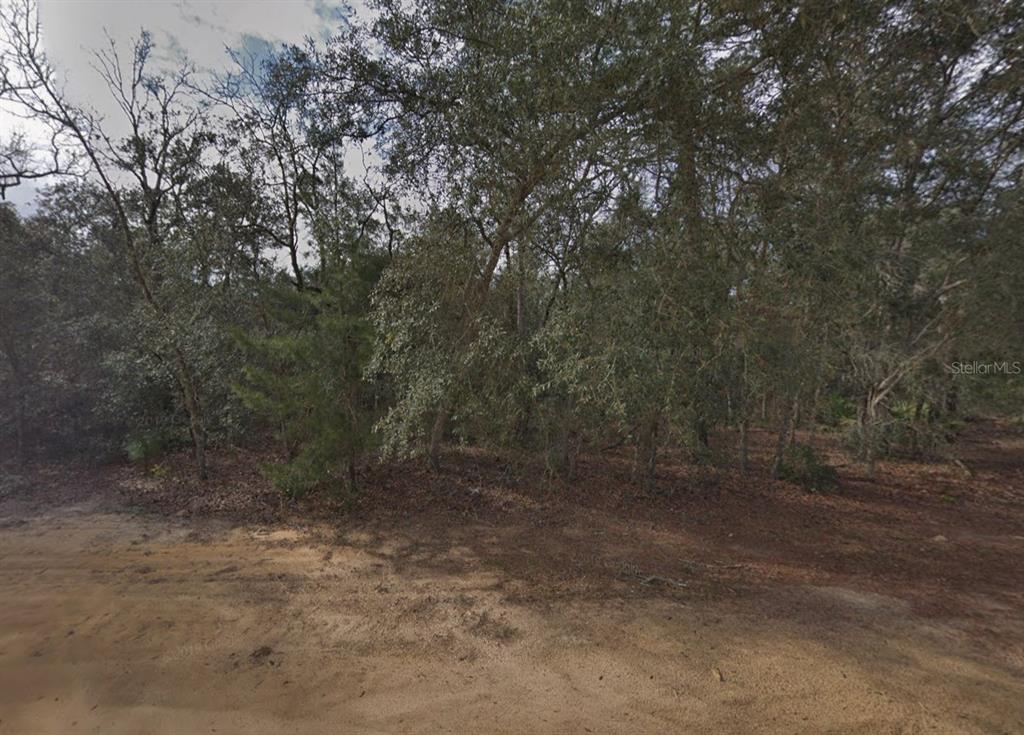 David Avenue Interlachen, FL 32148 - Photo 1 of 5