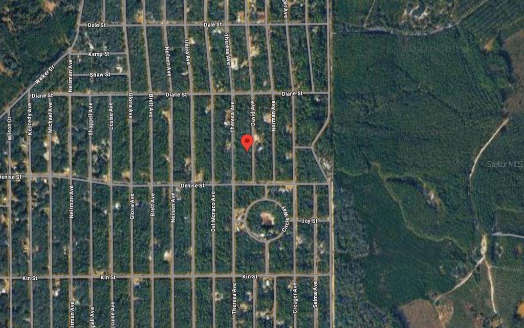 David Avenue Interlachen, FL 32148 - Photo 4 of 5