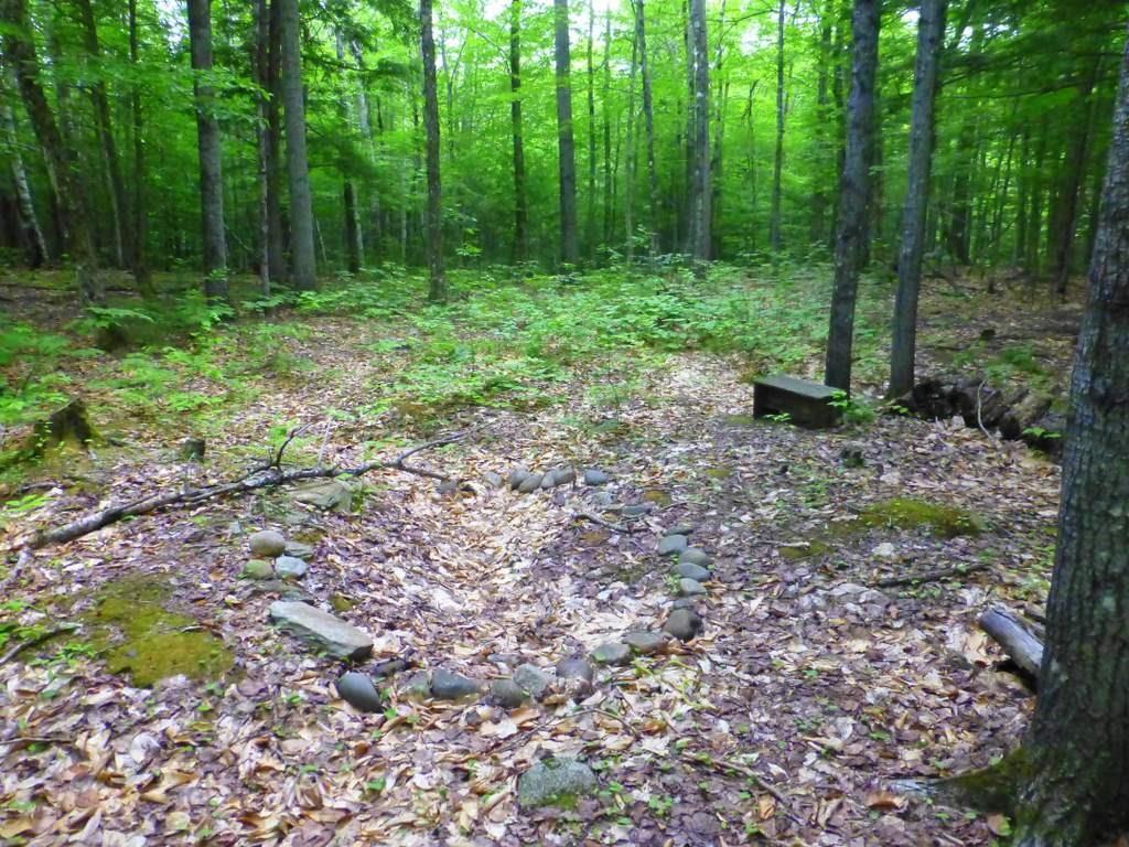 Lot #4 Burbank Hill Road Strong, ME 04983 - Photo 9 of 19 Photo