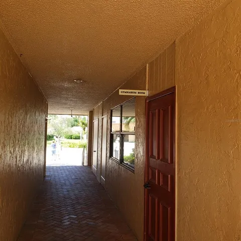 a view of a park with palm trees