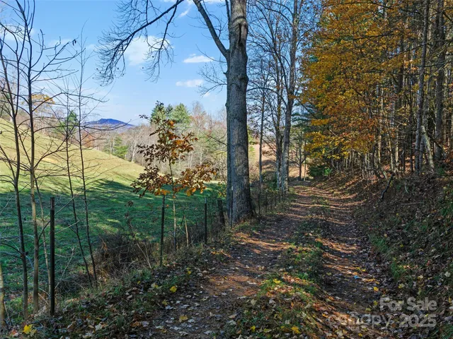 a swimming pool with an outdoor seating and trees