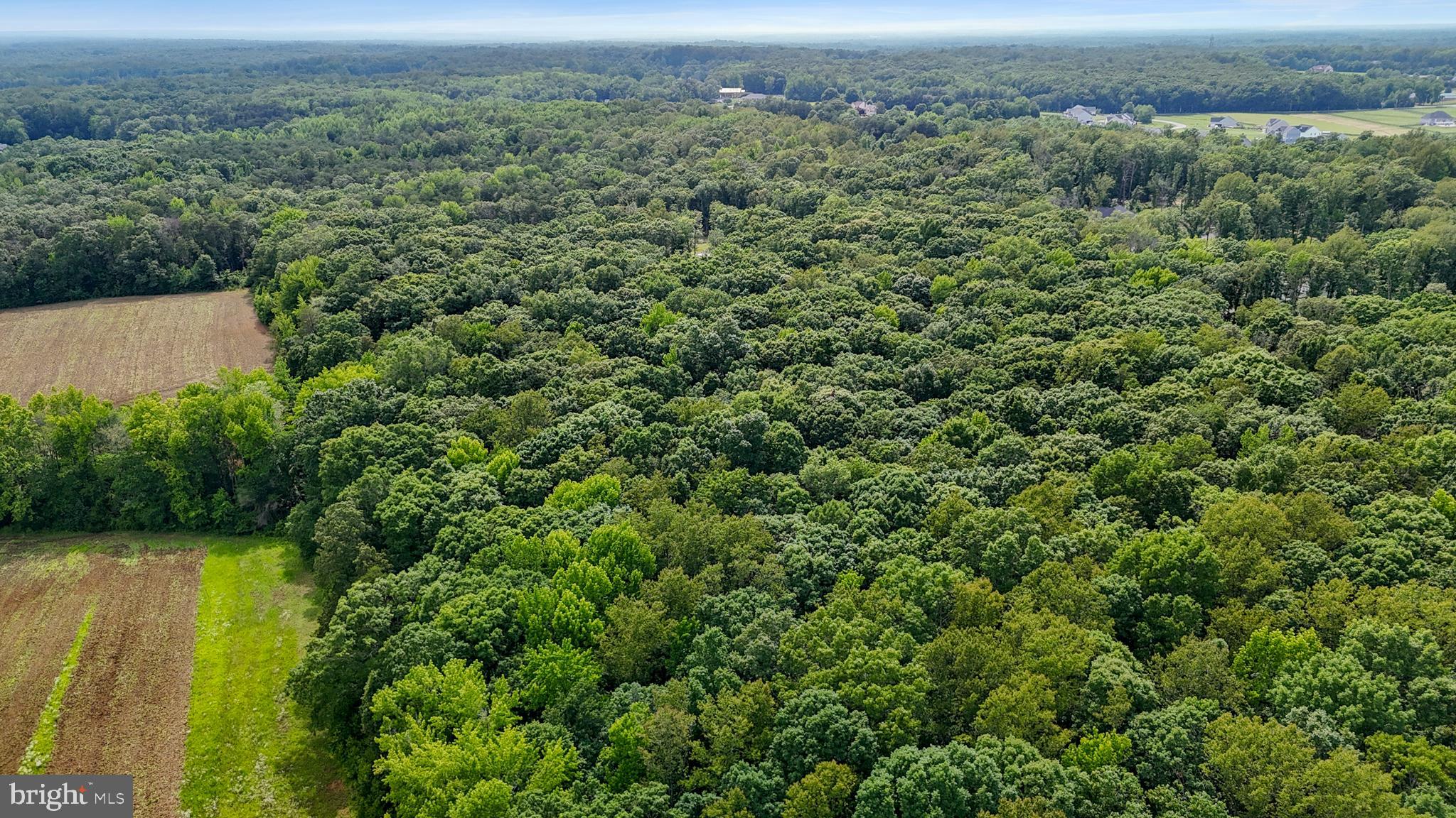 80 Shackelford Well Road Fredericksburg, VA 22406 - Photo 103 of 108 an aerial view of a house with a yard