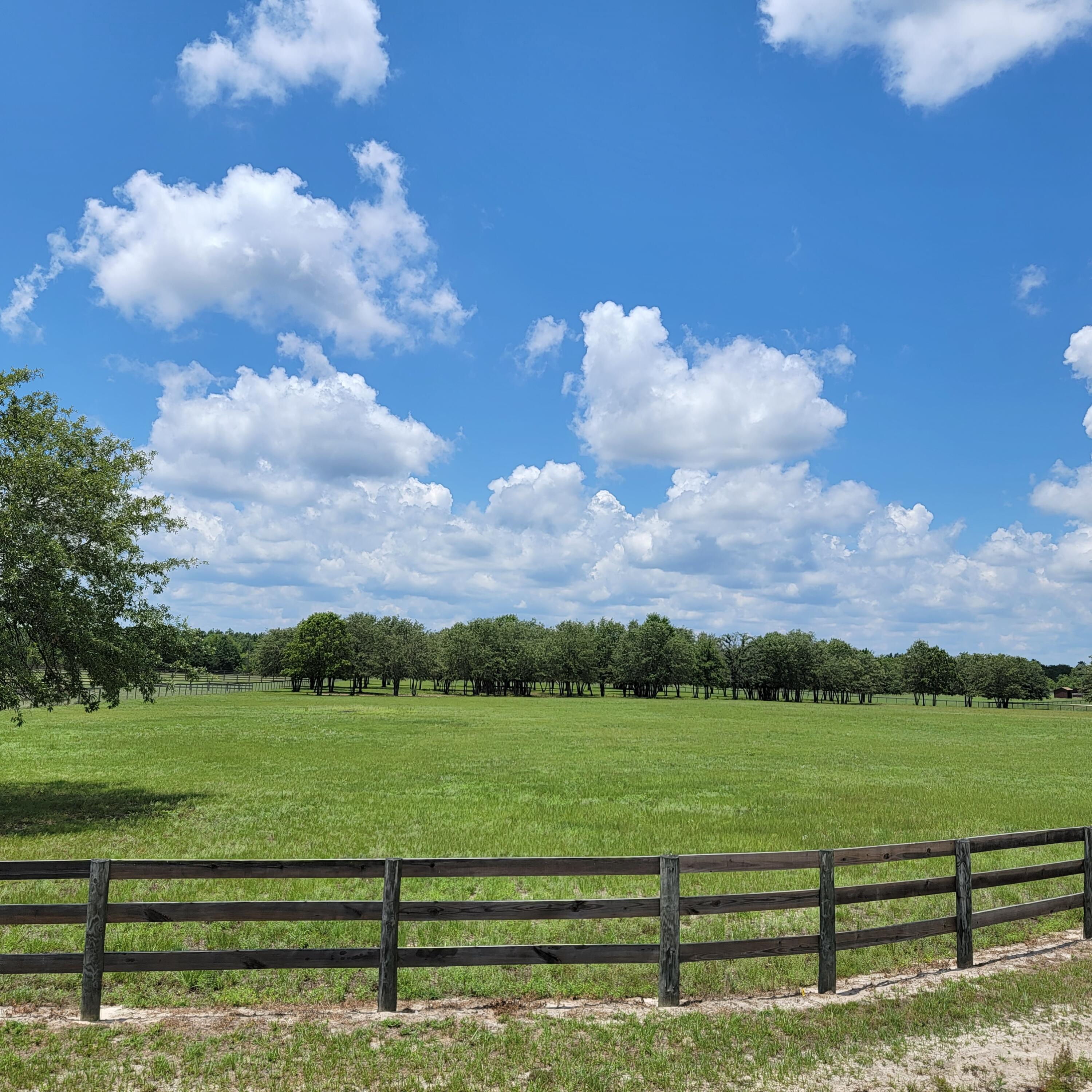 0 Riker Trail Windsor, SC 29856 - Photo 1 of 21