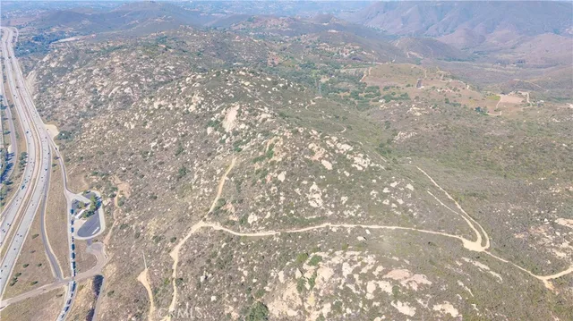 a close up of a tree