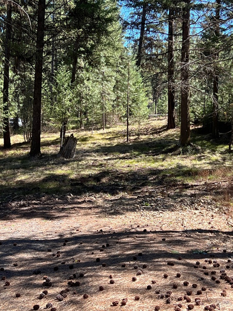 B24-l2 Vardon Road, Unit 2 New Meadows, ID 83654 - Photo 10 of 16
