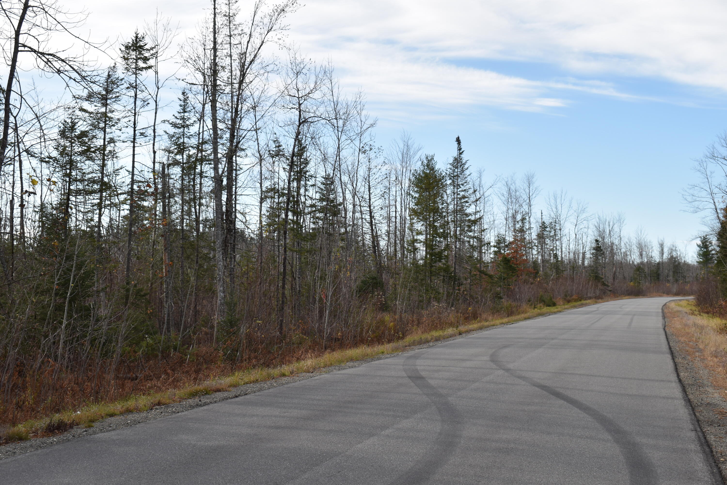 Tbd Tbd Storer Lagrange Road Bradford, ME 04410 - Photo 5 of 21 DSC_0321