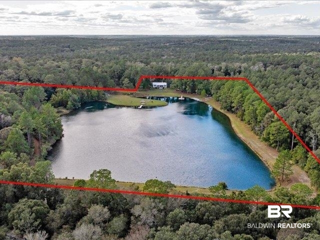 4650 Wiggins Lane Wilmer, AL 36587 - Photo 62 of 66 Aerial view of a forest and a large body of water